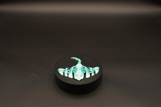 3D Printed Ray