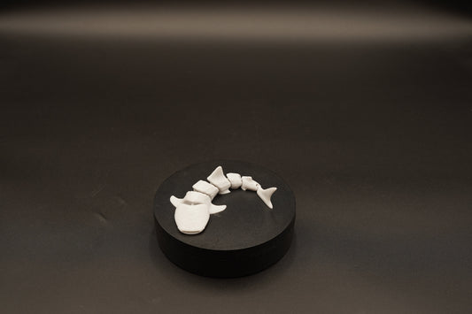 3D Printed Shark