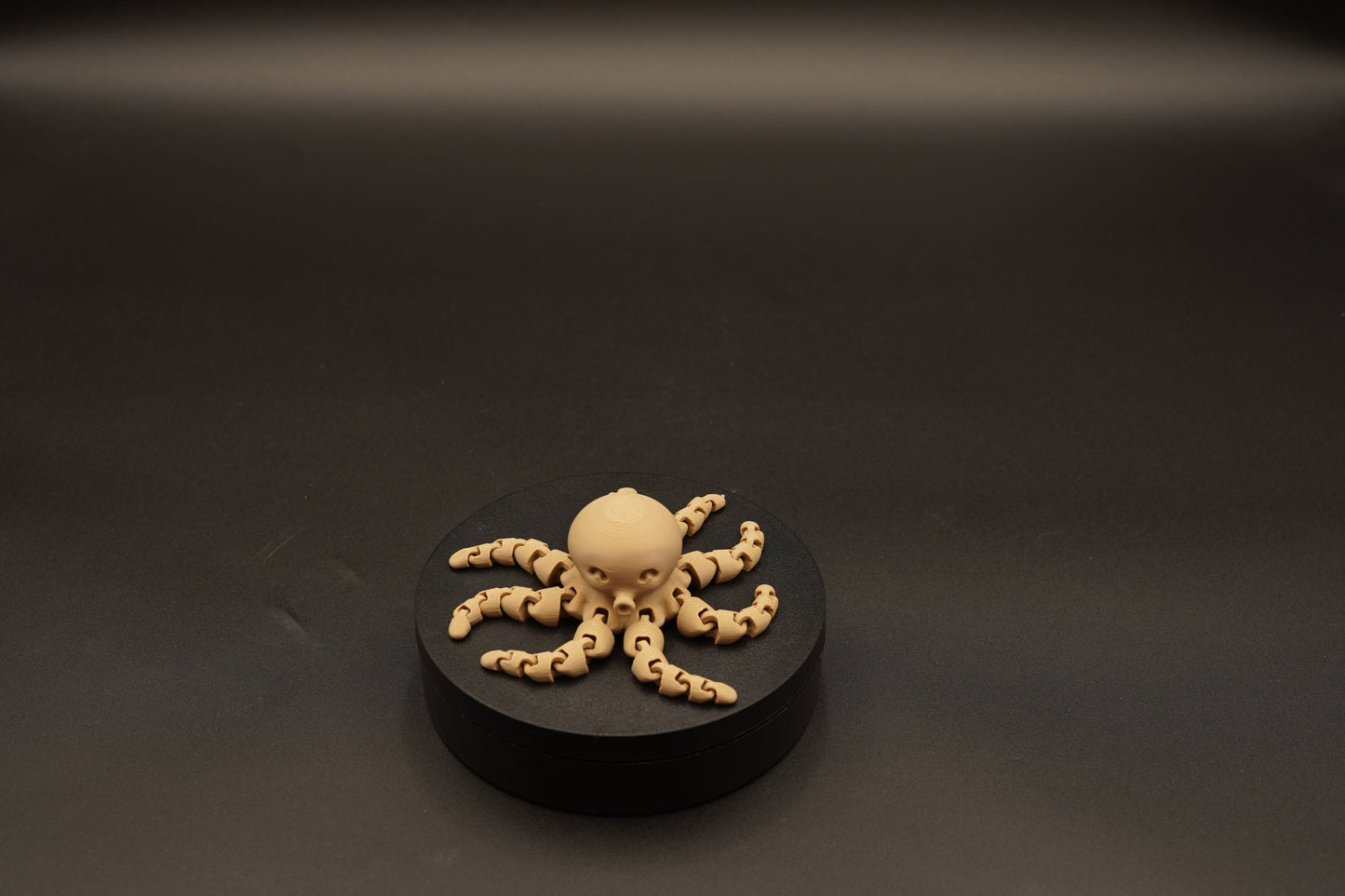 3D Printed Octopus