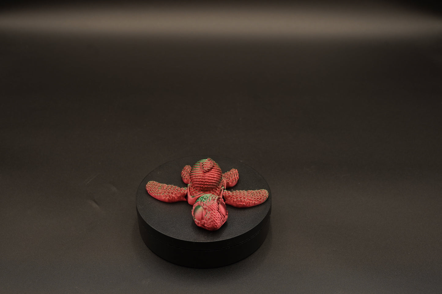 3D Printed Turtle