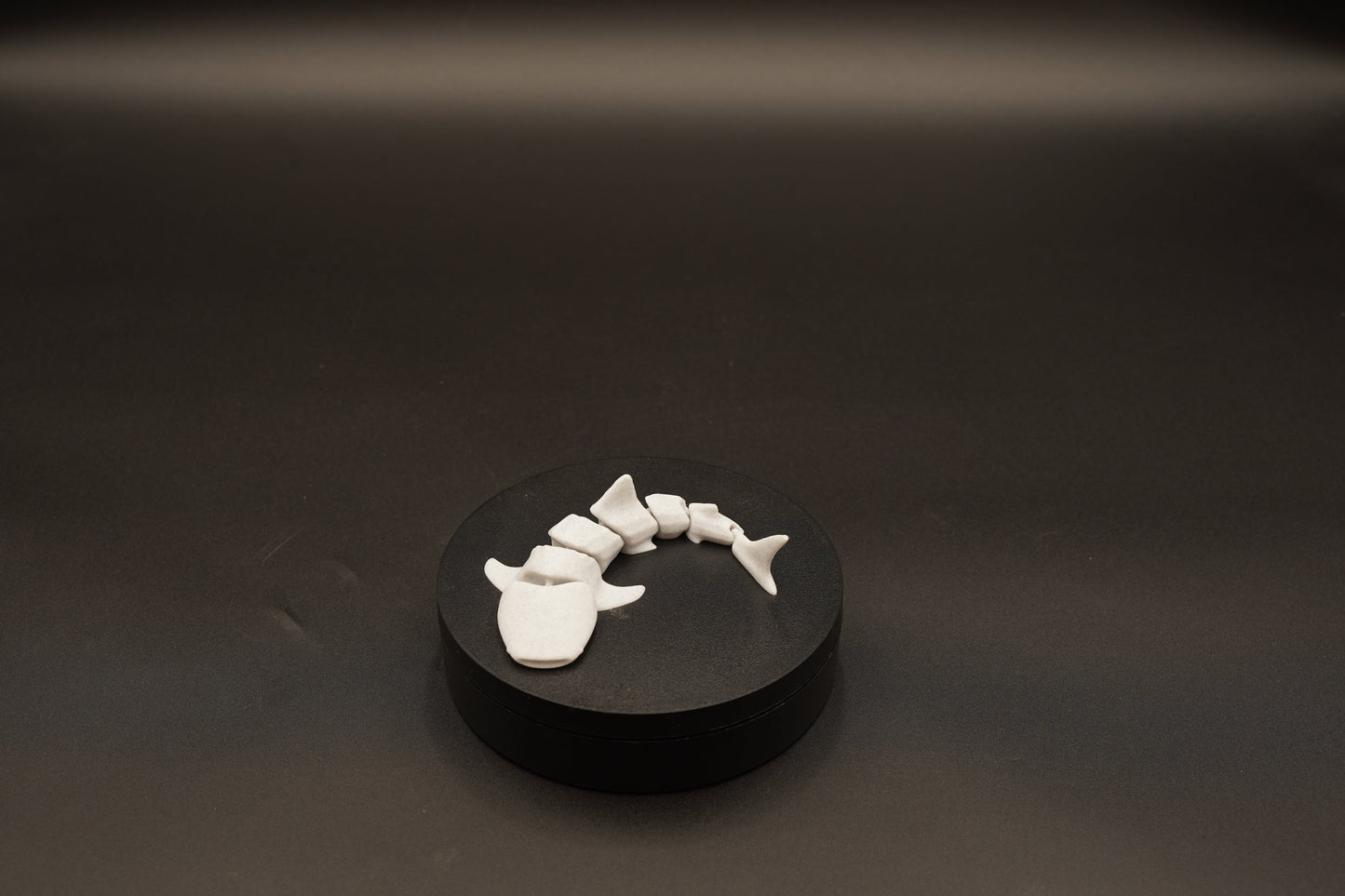 3D Printed Shark